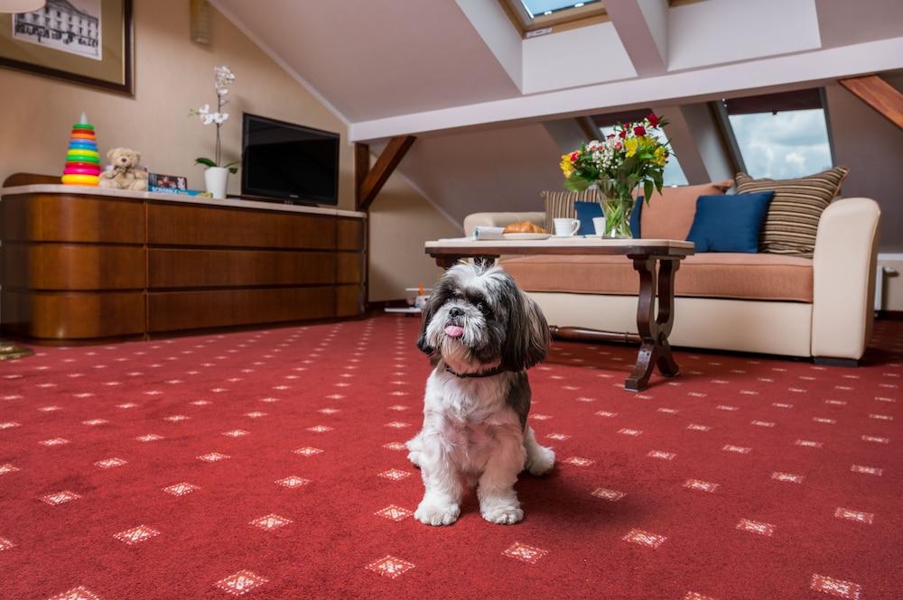 קרקוב Booking Hotel & Spa מראה חיצוני תמונה A carpet in a living room